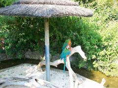 183 D21 SANARY SUR MER 1_000019